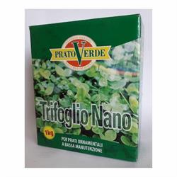 TRIFOGLIO NANO REPENS HUJA 1 KG.BIANCO