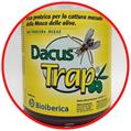 DACUS TRAP BOTTIGLIA 0,85 LT C/ESCA