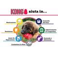 KONG CLASSIC XXGRANDE    KKE