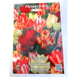 TULIPANI MIX BULBI PROMOPACK