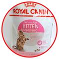 ROYAL CAT KITTEN 2 KG STERILISED