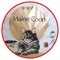 ROYAL CAT MAINE COON ADULT 2 KG