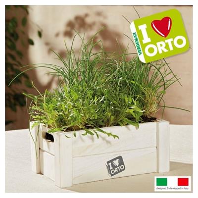 KIT EASYORTO 2218 RUCOLA/ERBA CIPOLLINA