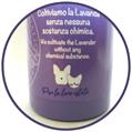 OFFICINA ANTIZANZARE 100ML LAVANDA 90%