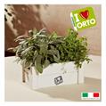 KIT EASYORTO 2219 MENTA/SALVIA