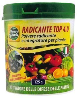 RADICANTE TOP 4.0 POLVERE 125 G SPE52