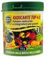 RADICANTE TOP 4.0 POLVERE 125 G SPE52