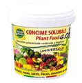 PLANT FOOD 4.0 CONC.SOLUBILE 500 GR   PFO02