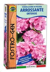 FOSTRO-GEN ARROSSANTE COLOR 1 KG