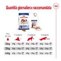 ROYAL DOG MAXI ADULT 12 KG.