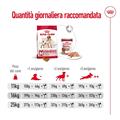 ROYAL DOG MEDIUM ADULT 12 KG.